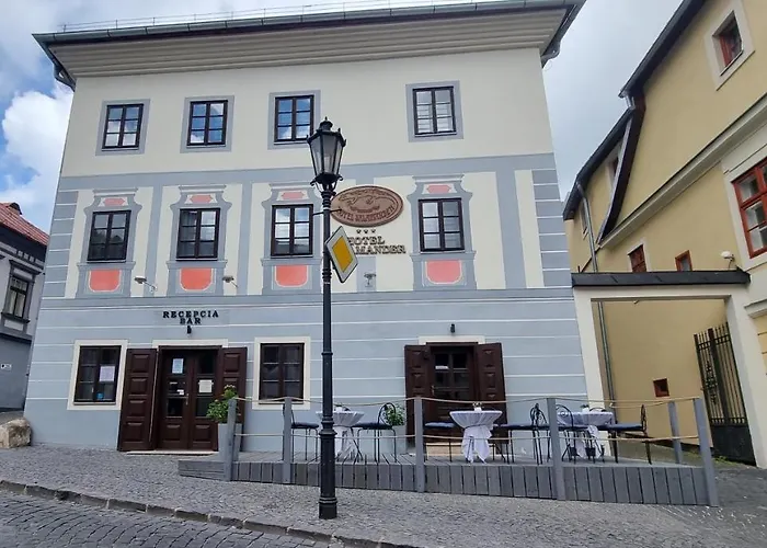 Hotel Salamander - Garni